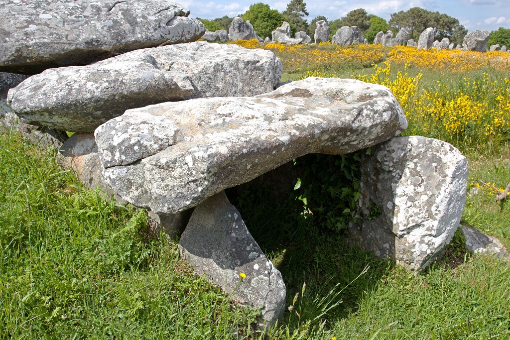 Megalithes megalieten megaliet carnac monteneuf champ dolent bretagne france frankrijk menhir obelix hdr menhirs morbihan asterix